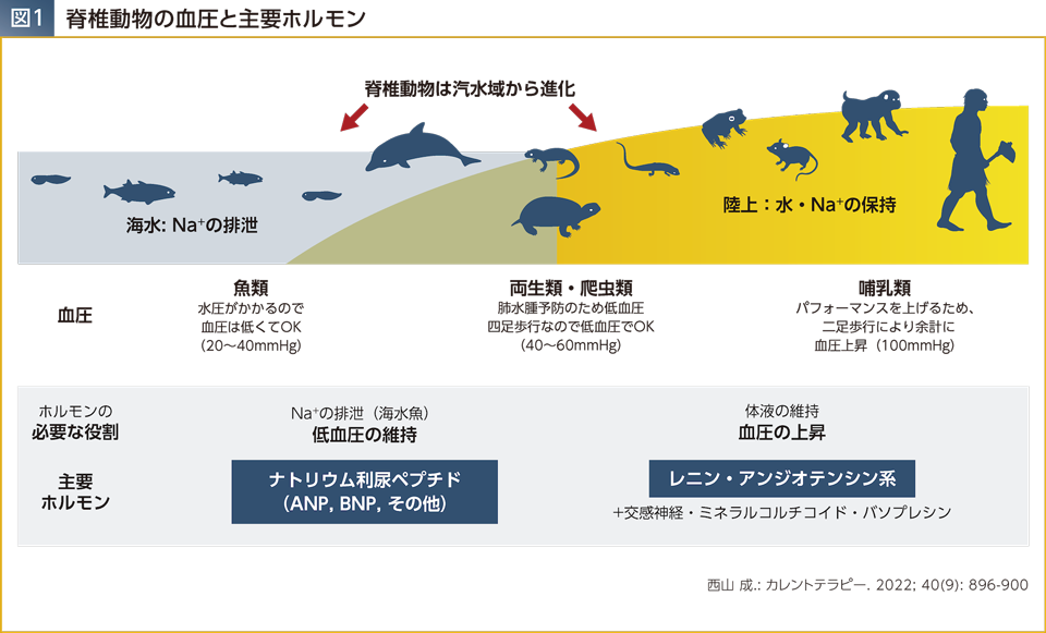 img_04.png img_04.png