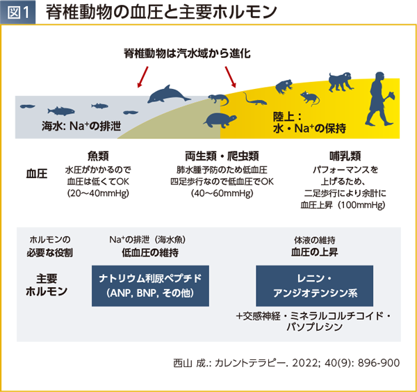 img_04_sp.png img_04_sp.png