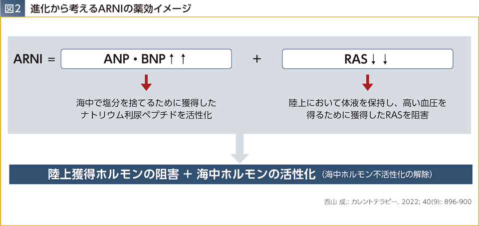 img_07.png img_07.png