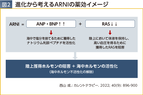 img_07_sp.png img_07_sp.png