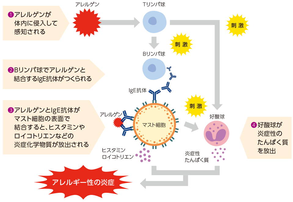 img_a_disease_004 img_a_disease_004