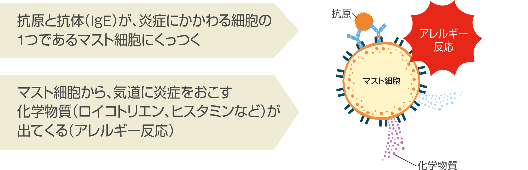 img_a_icchild_004 img_a_icchild_004
