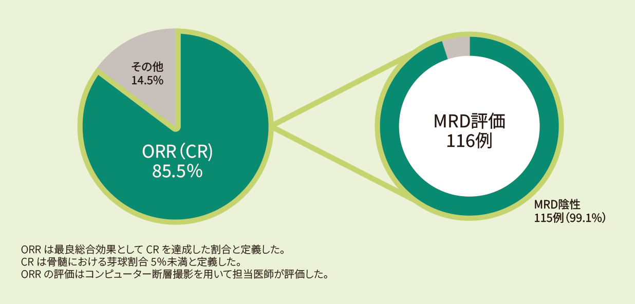 zu_cibmtr17.png zu_cibmtr17.png