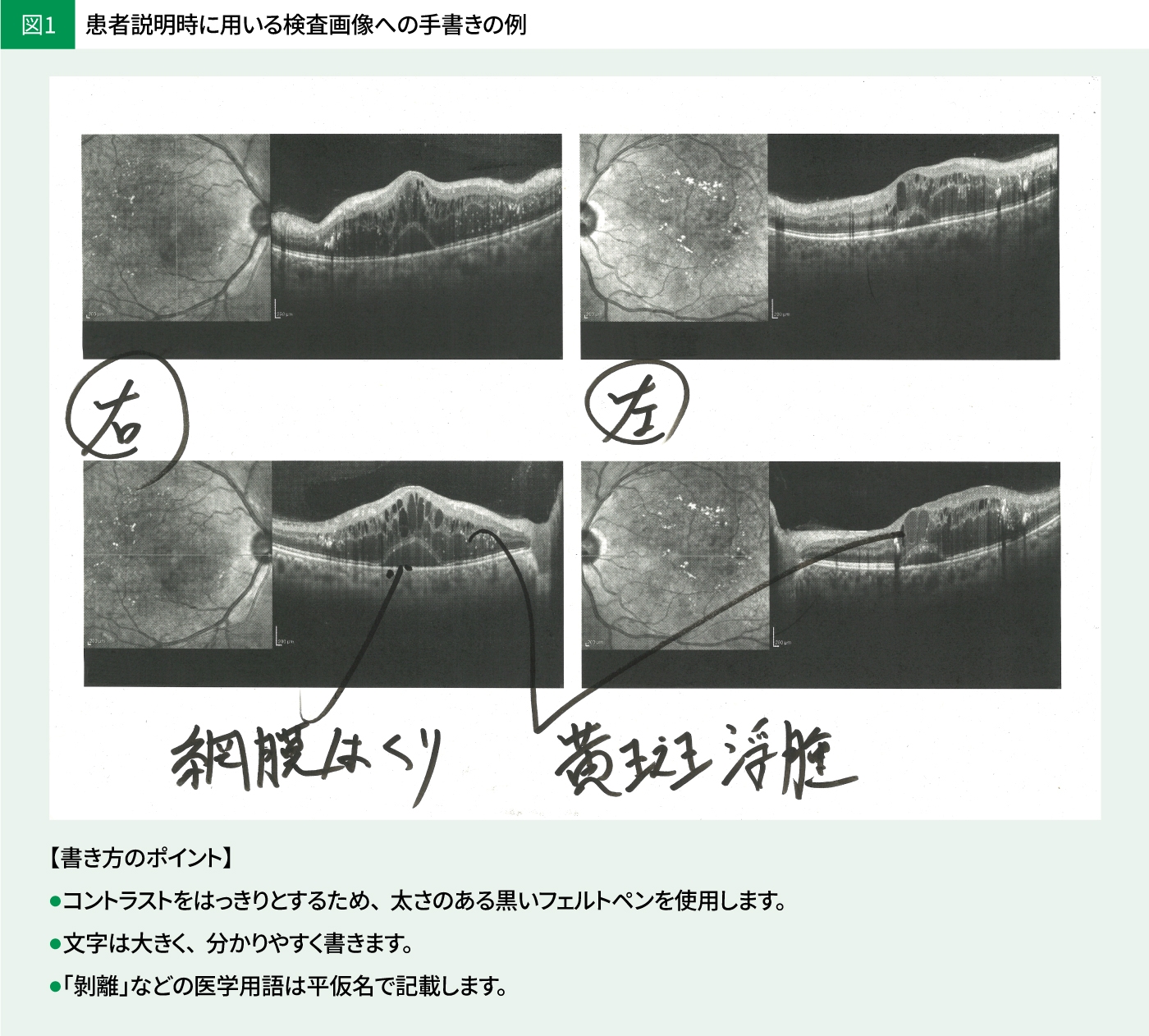 dr_hattori_zu01_2x.jpg dr_hattori_zu01_2x.jpg