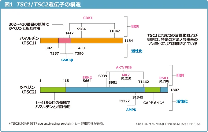 fig3402.png fig3402.png