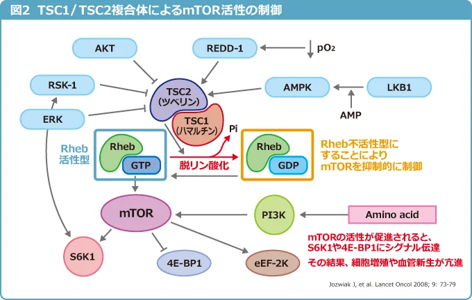fig3404.png fig3404.png