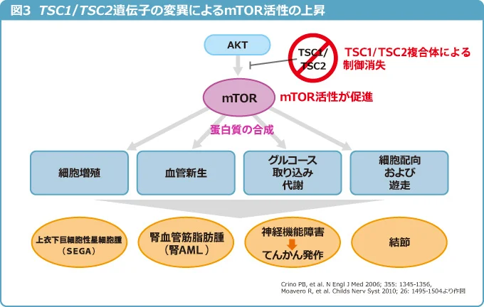 fig3405.png fig3405.png