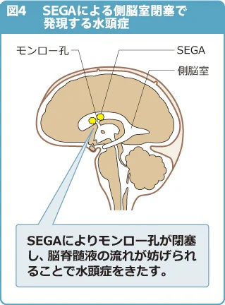 fig4004.jpg fig4004.jpg